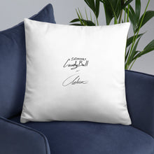 Load image into Gallery viewer, CandyBall x Aelion Draws collaboration pillow
